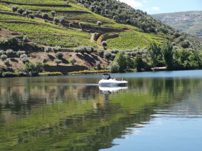 From Porto: Tastings at 2 Wineries, Chefs Lunch & Boat Tour - Lunch