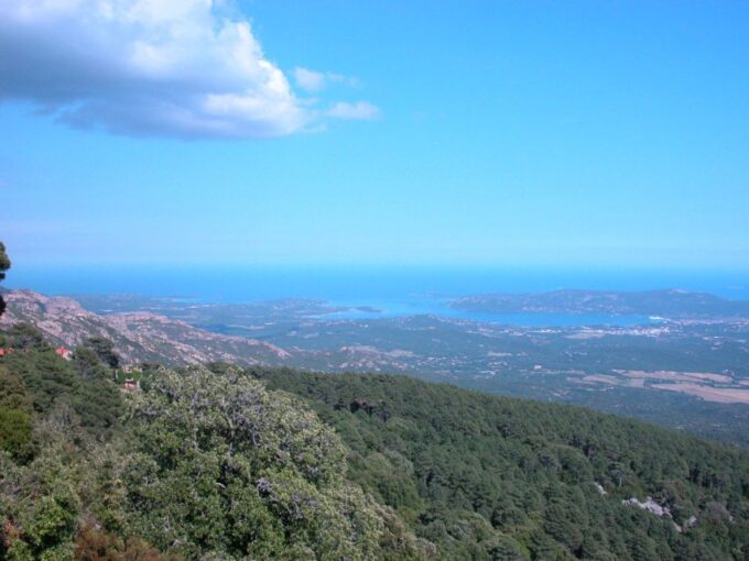 From Porto Vecchio: Corsica Mountain Tour - Col De Bavella Viewpoint