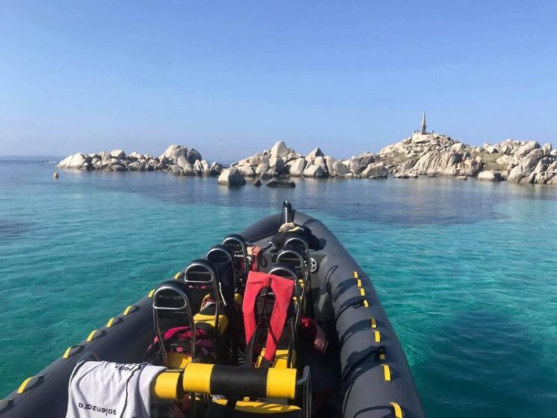 From Porto-Vecchio: Lavezzi Archipelago Sightseeing Cruise - Spotting Wildlife Along the Way