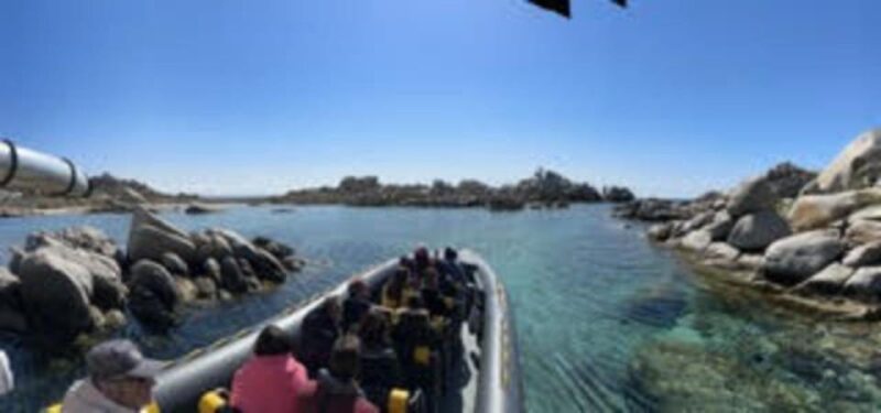 From Porto-Vecchio: Lavezzi Archipelago Sightseeing Cruise - Highlights of the Itinerary