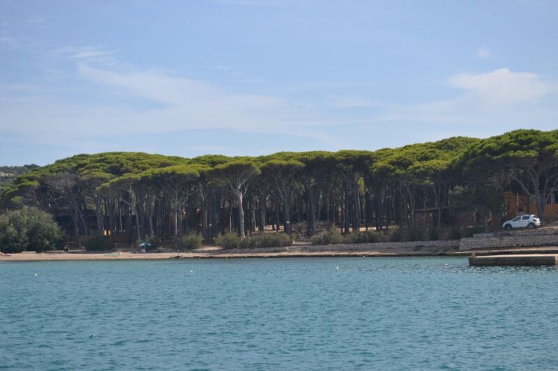 From Porto Vecchio: Maddalena Archipelago Boat Tour - Participant Information