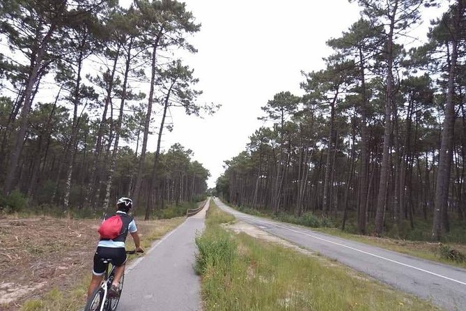 From Porto With View to Gaia: Private Bike Tour #Ducksideofporto - Discovering Gaias Local Spots