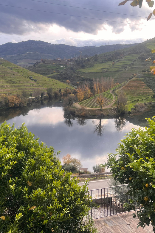 From Porto:Douro Valley Private Tour With Wine,Lunch, Cruise - Experience Features