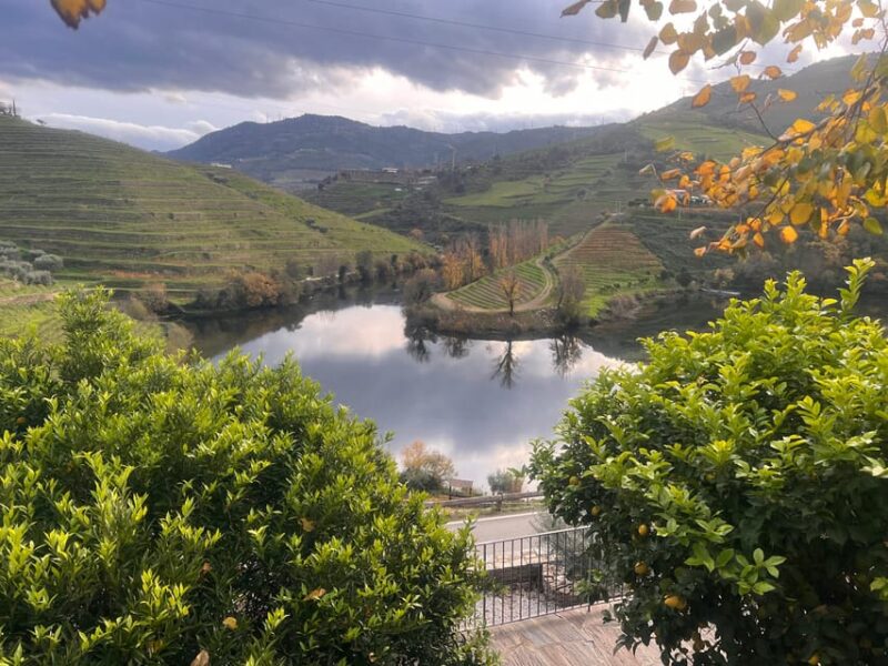 From Porto:Douro Valley Private Tour With Wine,Lunch, Cruise - Pickup Location