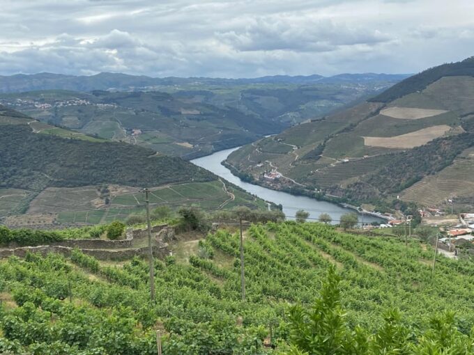 From Porto:Douro Valley Private Tour With Wine,Lunch, Cruise - Wine Estates Visits
