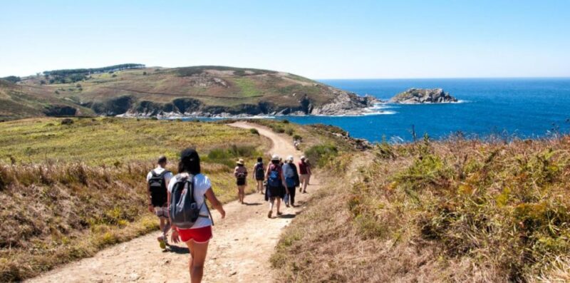 From Portonovo: Return-trip Ferry Transfer to Ons Island - Highlights of the Experience