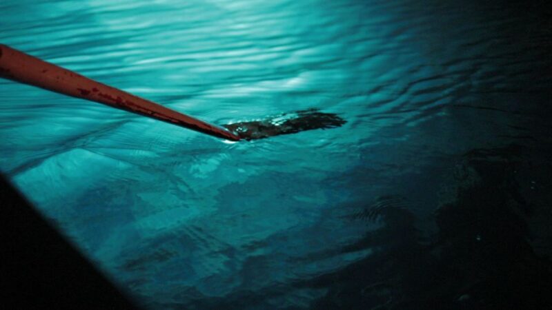 From Positano: Amalfi Coast Boat Tour With Swimming Stop - Participant Information