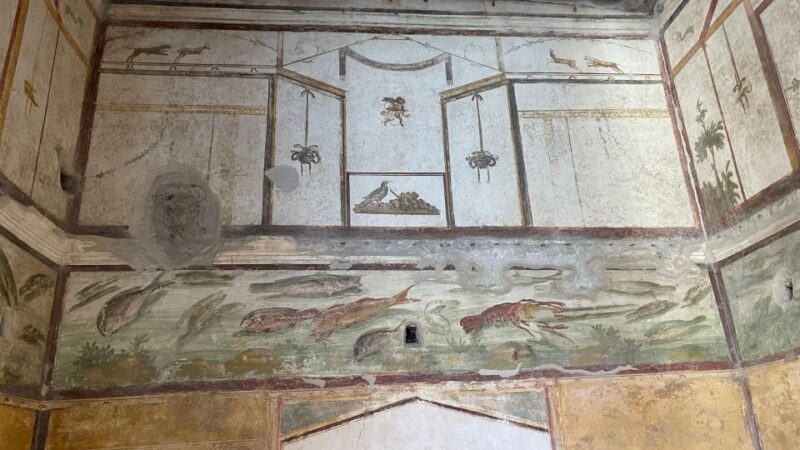 From Positano: Pompeii, Vesuvius, & Wine Tasting With Lunch - Inclusions