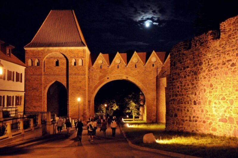 From Poznan: Torun Sightseeing Day Tour - Tour Inclusions