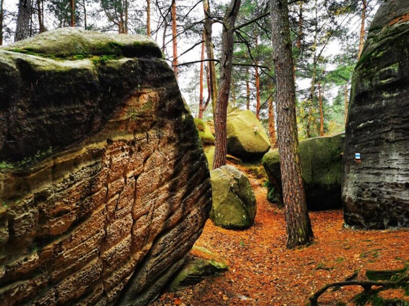 From Prague: Bohemian Paradise - Full-Day Hiking Trip - Key Points