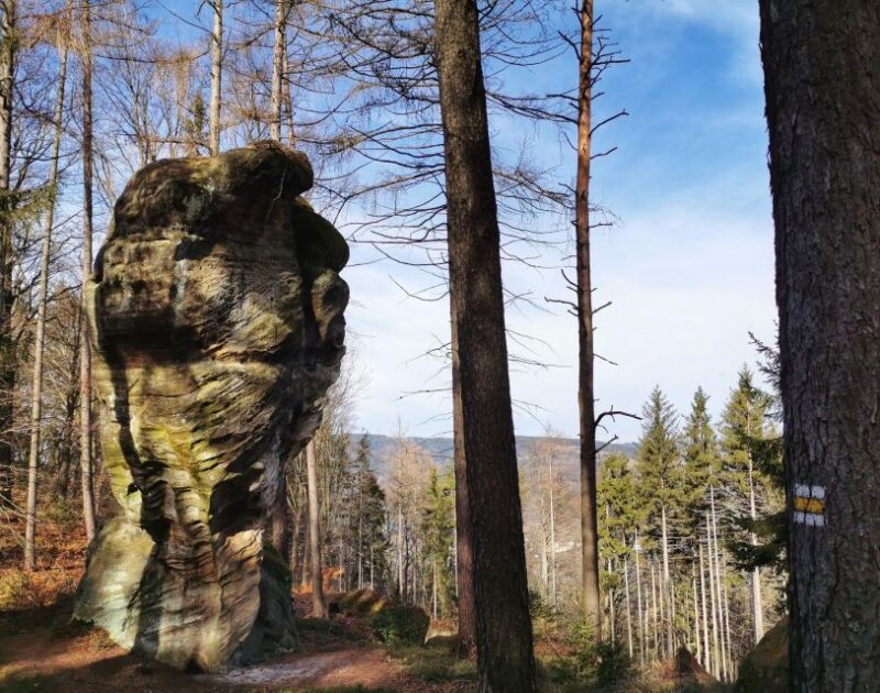 From Prague: Bohemian Paradise - Full-Day Hiking Trip - Itinerary Highlights