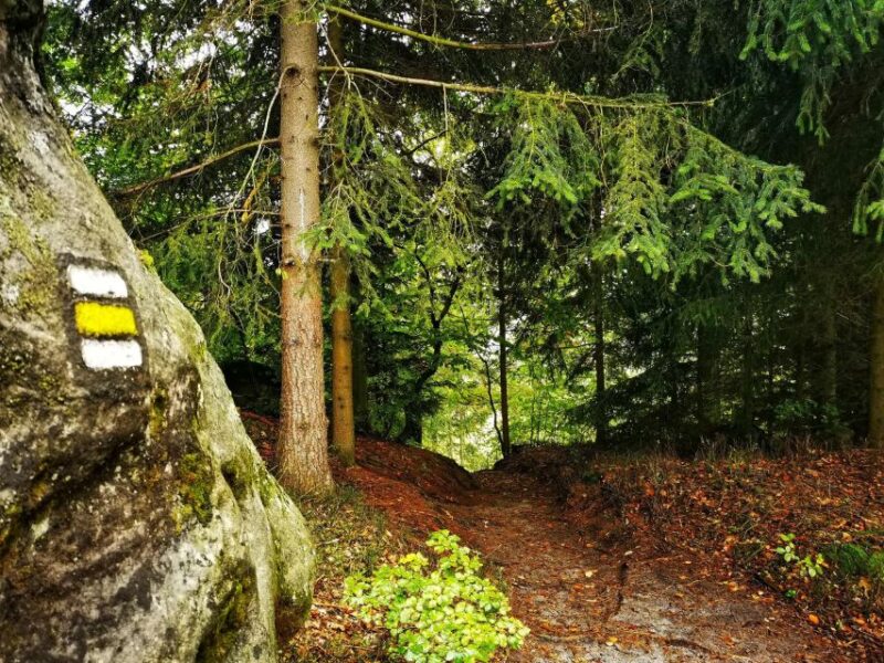 From Prague: Bohemian Paradise - Full-Day Hiking Trip - Zbirohy Castle Ruins