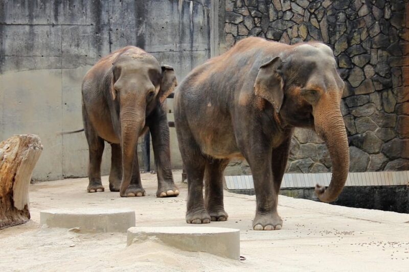 From Prague: Private Tour to Liberec and Ještěd Tower - Itinerary Highlights