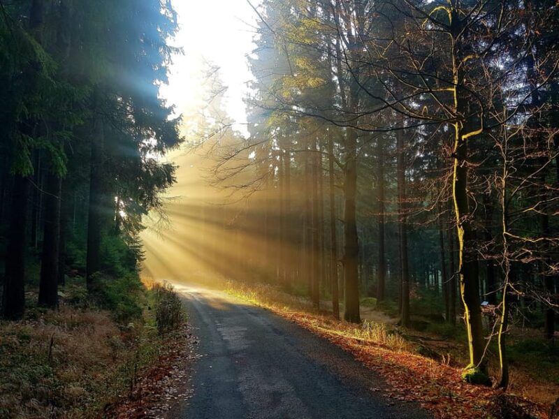 From Prague: Private Tour to Liberec and Ještěd Tower - Visiting Liberec Zoo