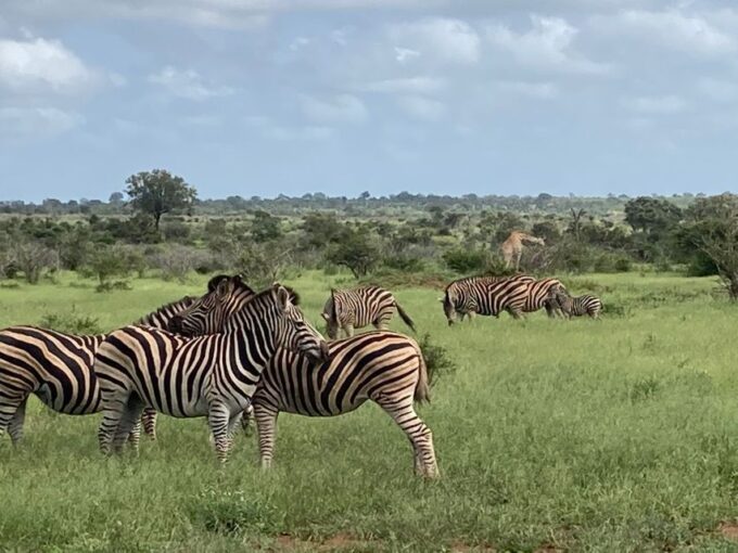 From Pretoria: 4-Day Guided Trip to Kruger Park and Graskop - Frequently Asked Questions