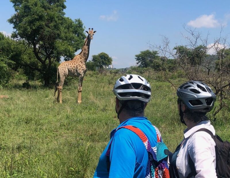 From Pretoria: E-Bike in the Wild With Game Near Joburg - Key Points