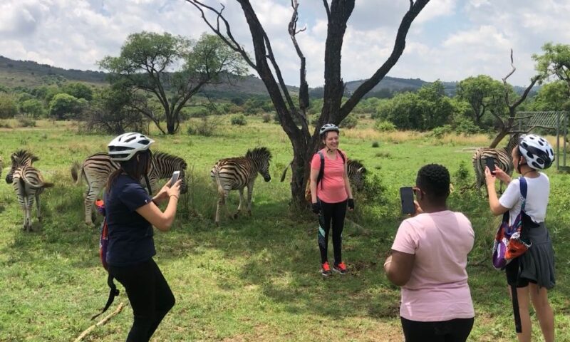 From Pretoria: E-Bike in the Wild With Game Near Joburg - Wildlife Sightings in the Reserve