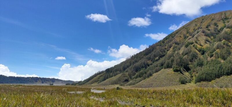 From Probolinggo: Mount Bromo Sunset Tour by Land Cruiser - Inclusions