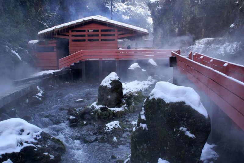 From Pucón: Geometric Hot Springs - Pricing and Duration