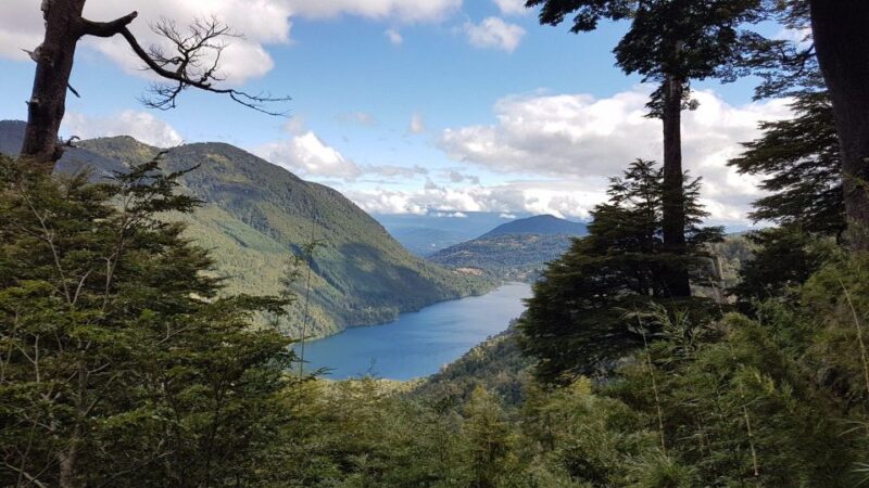 From Pucón: Huerquehue National Park Hiking Tour - Key Points