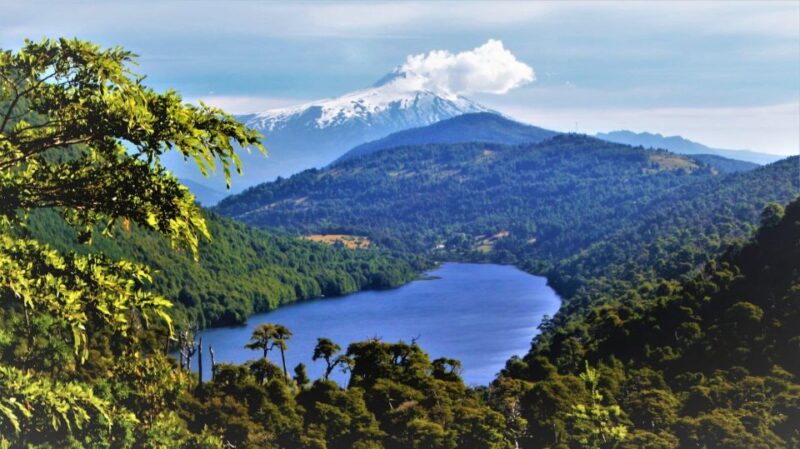From Pucón: Huerquehue National Park Hiking Tour - Itinerary Details
