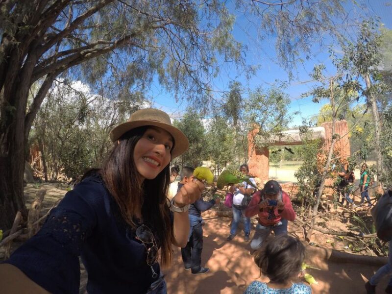 From Puebla: 5-Hour Africam Safari Private Tour - Itinerary