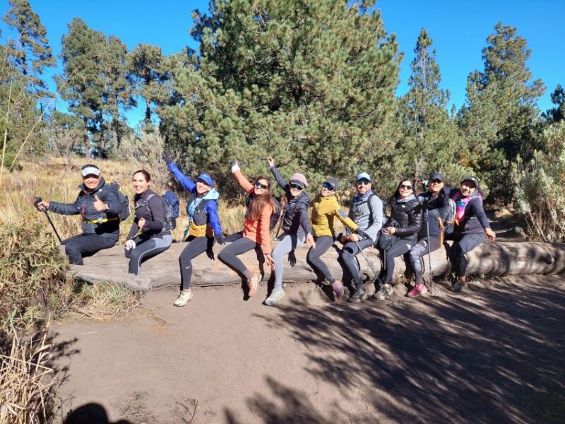 From Puebla: 7-Hour Malinche Volcano Hiking Tour - Itinerary Details