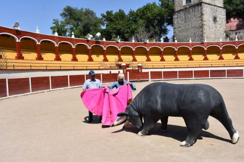 From Puebla: Tlaxcala and Cacaxtla Private Guided Tour - Accessibility and Group Details