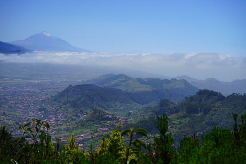 From Puerto De La Cruz: VIP Tour Around Anaga and La Laguna - Experiencing the Laurel Forest