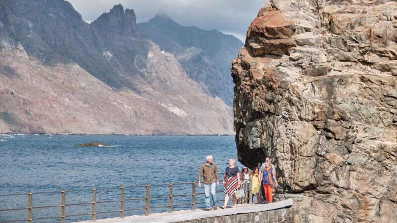 From Puerto De La Cruz: VIP Tour Around Anaga and La Laguna - Pickup and Transportation Details