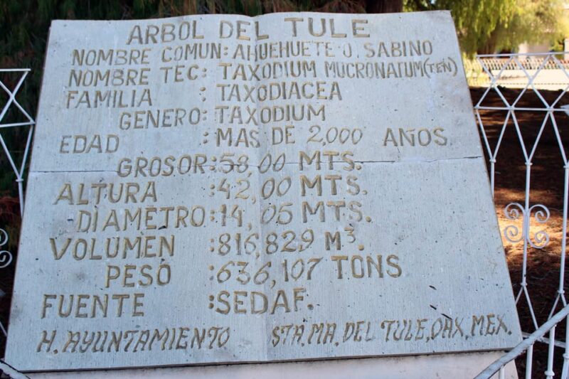 From Puerto Escondido: Gataway to Oaxaca in One Day. - Inclusions and Exclusions