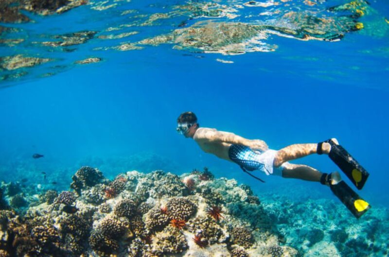 From Puerto Escondido: Huatulco 7 Bays Tour - Participant Requirements
