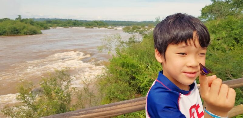 From Puerto Iguazu: Argentinian Iguazu Falls With Boat Ride - Key Points