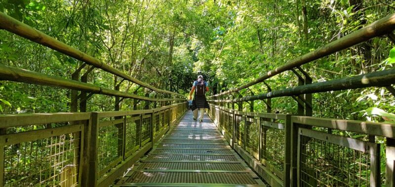 From Puerto Iguazu: Argentinian Iguazu Falls With Boat Ride - Itinerary and Experience