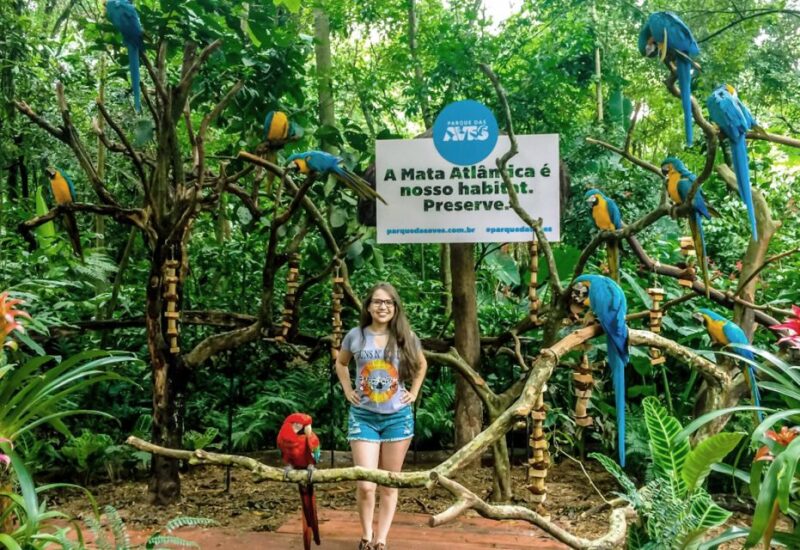 From Puerto Iguazu: Brazilian Bird Park Tour With Tickets - Key Points