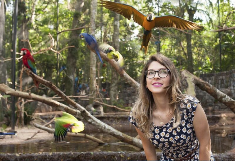 From Puerto Iguazu: Brazilian Bird Park Tour With Tickets - Group Size and Tour Duration