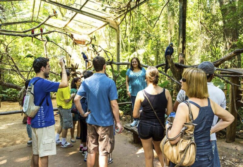 From Puerto Iguazú: Brazilian Bird Park Tour With Tickets - Key Points