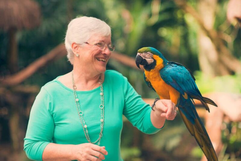 From Puerto Iguazú: Brazilian Bird Park Tour With Tickets - Itinerary and Experience