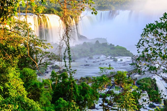From Puerto Iguazu: Brazilian Side of the Falls With Ticket - Iguaçu National Park