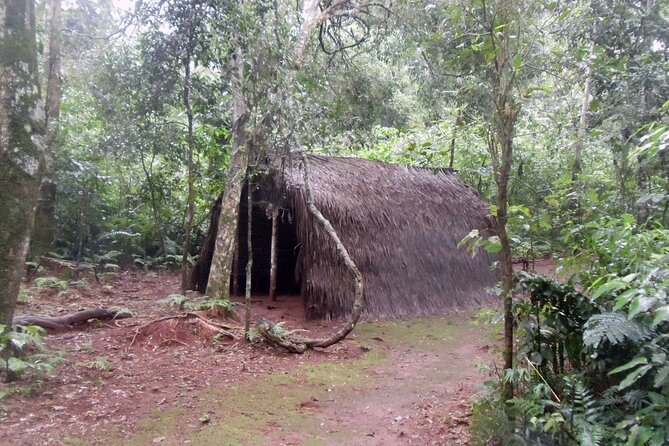 From Puerto Iguazu: Guarani Village Tour With Brunch - Inclusions