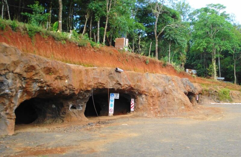 From Puerto Iguazu: San Ignacio Ruins and Wanda Mines Tour - Accessibility