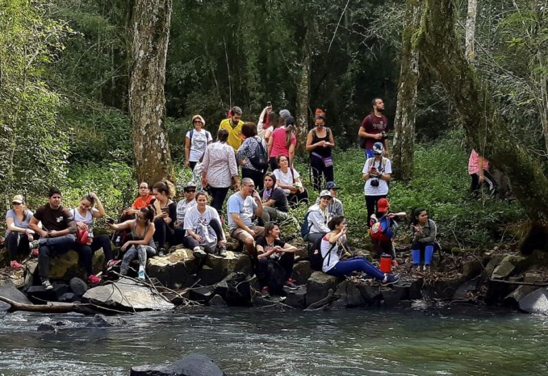 From Puerto Iguazu: Secret Falls Adventure - Exploring Sub-Tropical Flora and Fauna