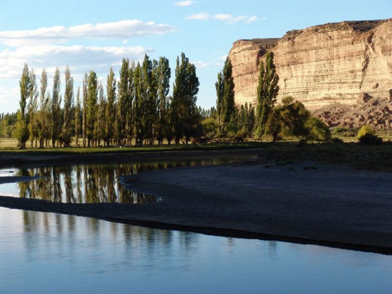 From Puerto Madryn: Chubut River Valley Welsh Colonies - Tour Logistics