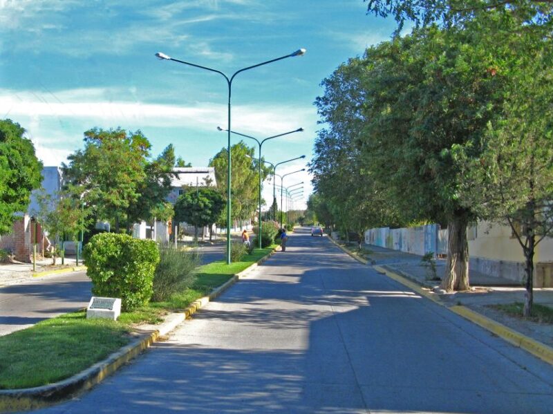From Puerto Madryn: Chubut River Valley Welsh Colonies - Cultural Experience