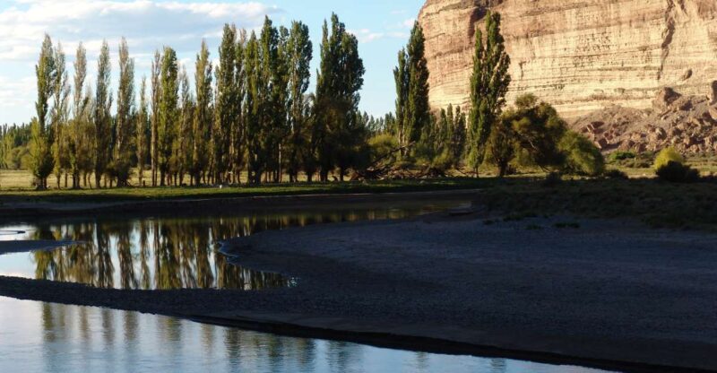 From Puerto Madryn: Chubut River Valley Welsh Colonies - Paleontological Museum Visit