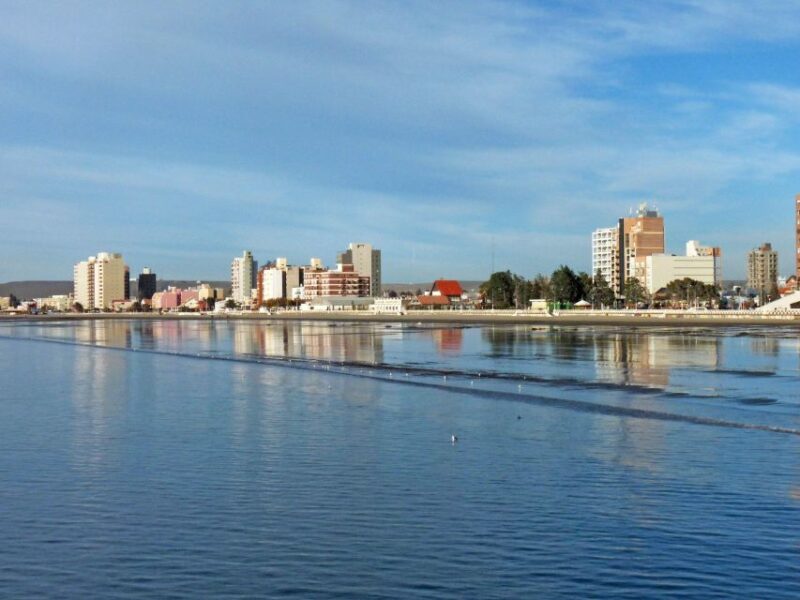 From Puerto Madryn: City and Punta Loma Tour - Key Points