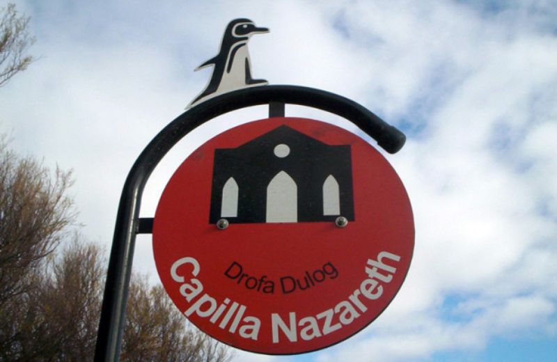 From Puerto Madryn: City and Punta Loma Tour - Booking Information