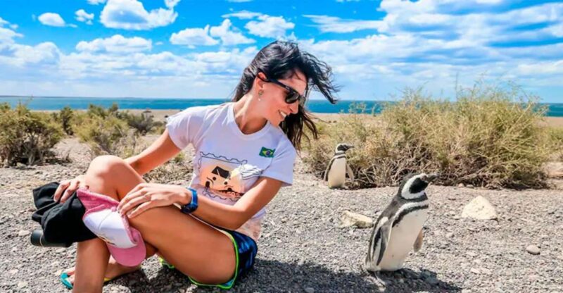 From Puerto Madryn: Punta Tombo Day Trip With Hotel Transfer - Key Points