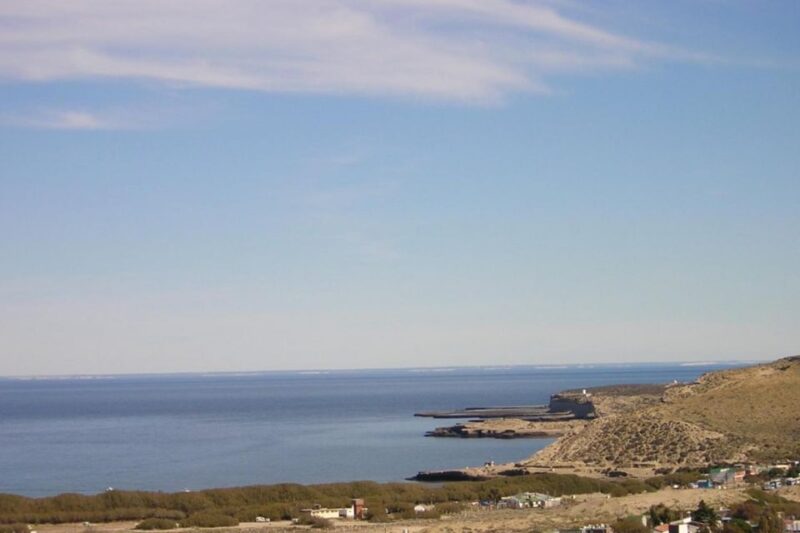 From Puerto Madryn: Punta Tombo Day Trip With Hotel Transfer - Inclusions