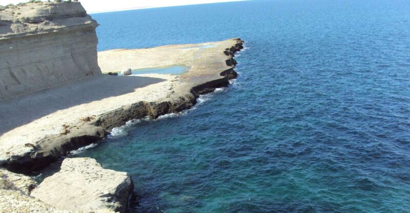 From Puerto Madryn: Valdes Peninsula Full-Day Tour - Key Points